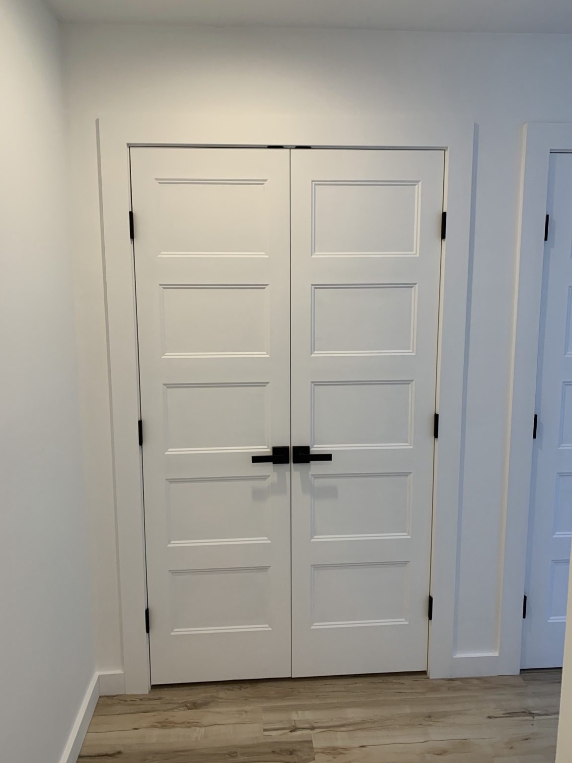 A pair of painted five-panel doors in a cased opening with matching black lever hardware